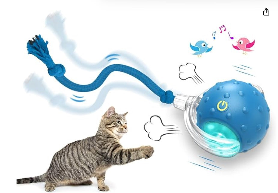 Cat Ball Toy
