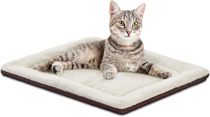 Cat Warm Bed